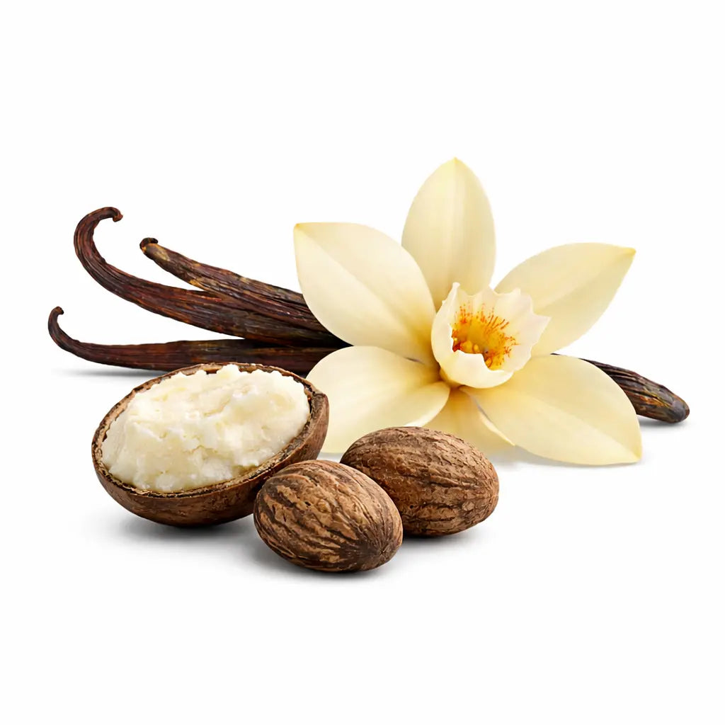 Vanilla beans, vanilla flower, and shea butter on a white background